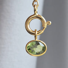 Load image into Gallery viewer, Tourmaline Charm II
